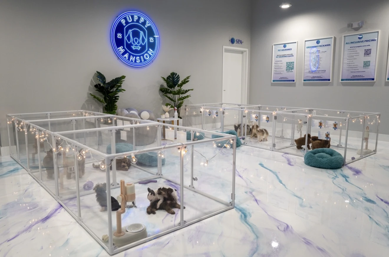 Puppy Mansion Miami