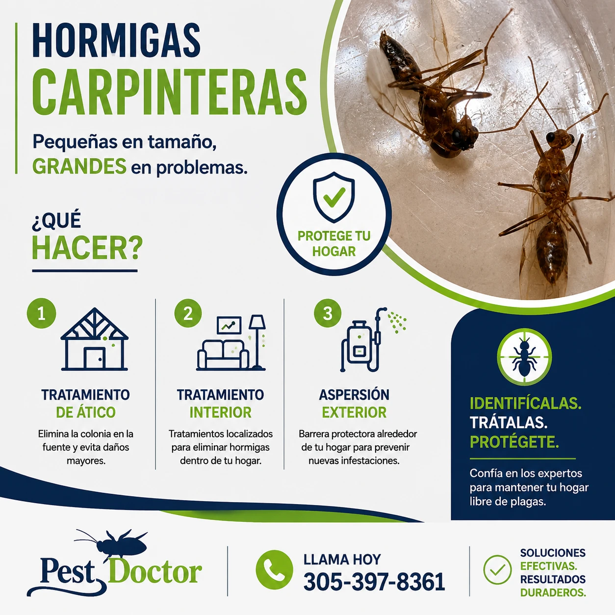 Pest Doctor Inc