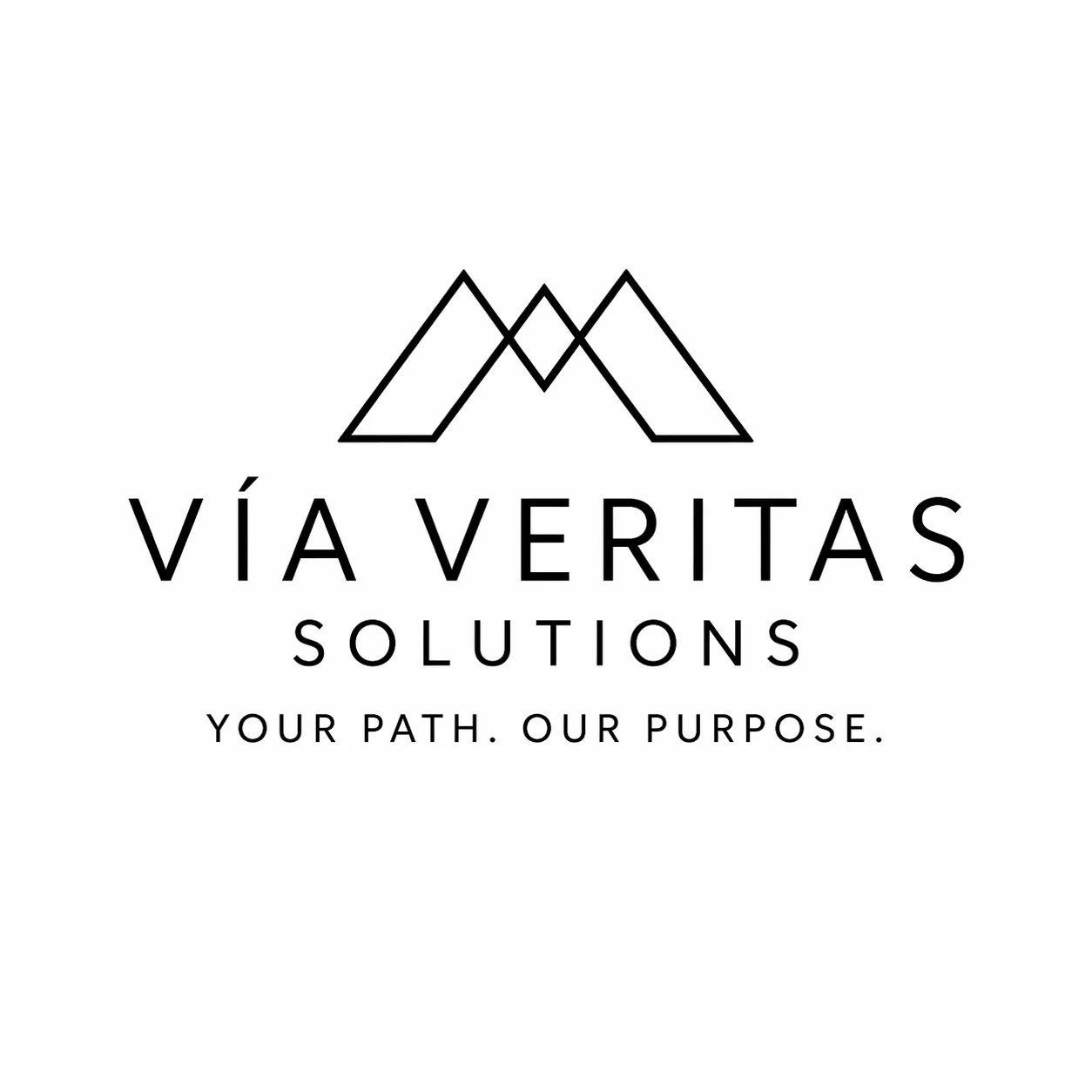Via Veritas Solutions logo